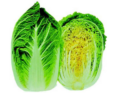 Chinese (Napa) Cabbage (Sui Choy) Seeds